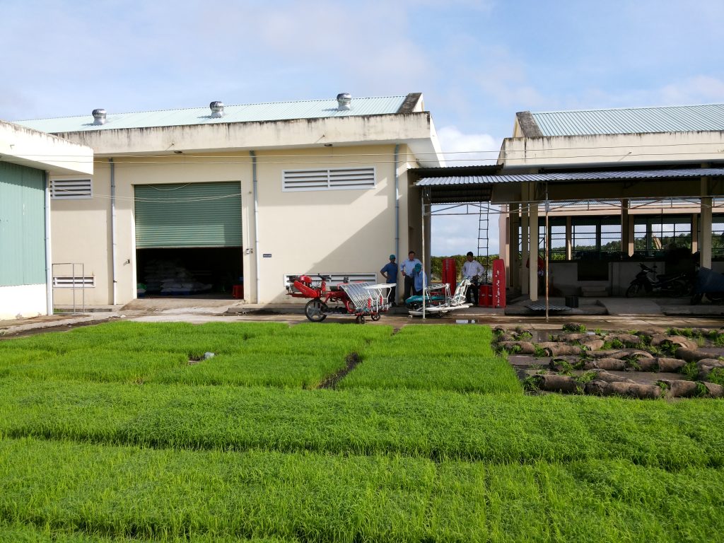 May cay lua HAMCO tai trung tam giong nong nghiep tinh ca mau - 2